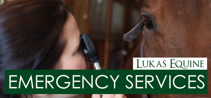 Equine Emergency Services Illinois