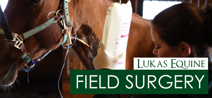 Equine Surgical Services Illinois