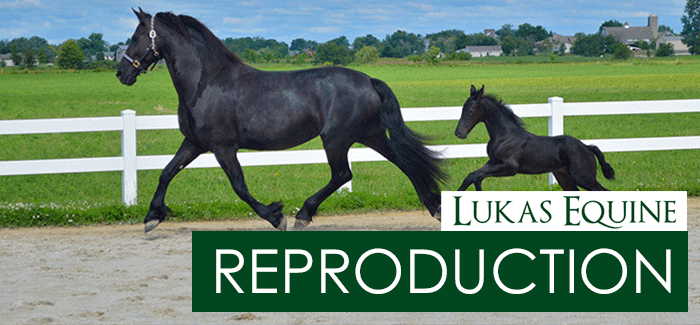 Equine Reproductive Services Barrington