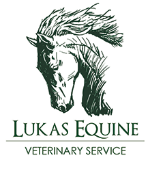 Lukas Equine Veterinary Service